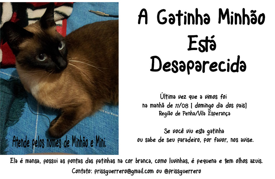 Minha gatinha sumiu!!