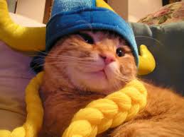 Cansei de Ser Viking, Agora sou Gato!