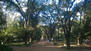caminhada1dia_01