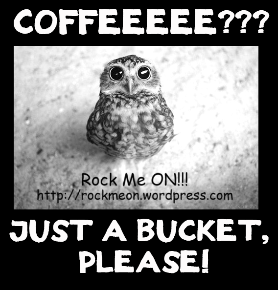 Hey, Owl! Wanna a Coffe?